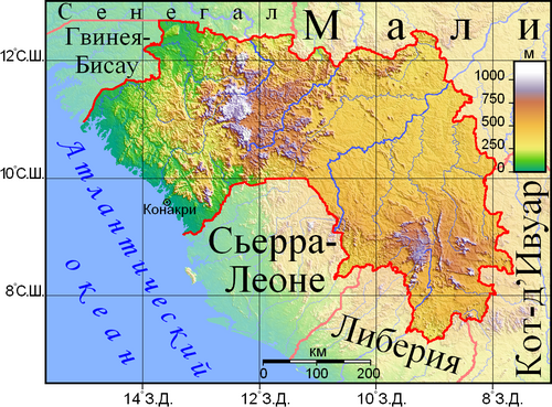 Guinea