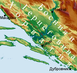 Neum 1