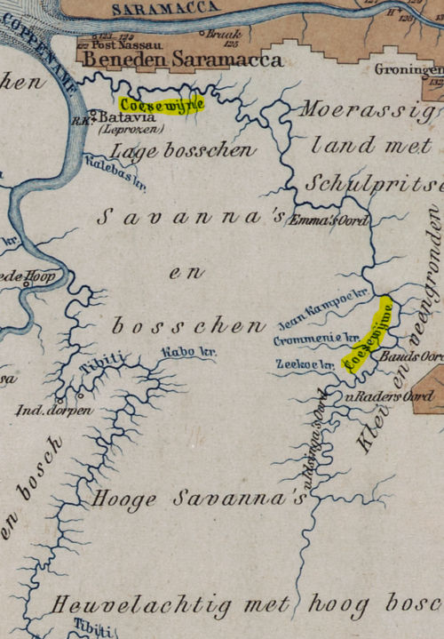 1880-82 Kuyper, Jacob Coesewijnerivier (oříznuté)