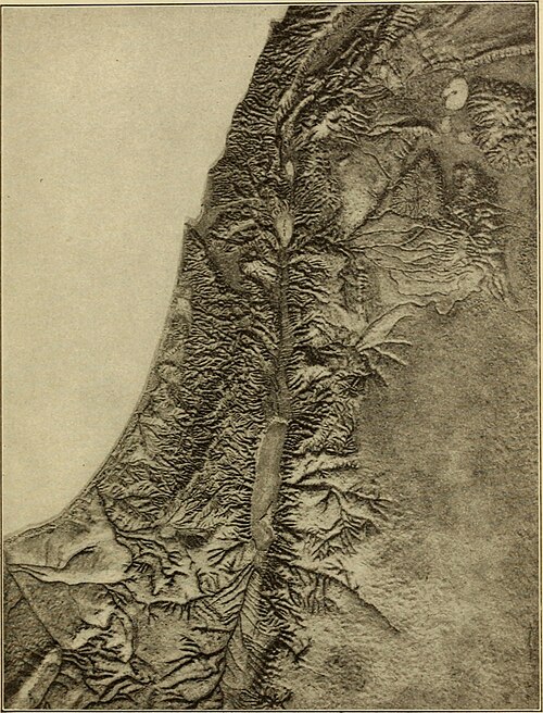 Zemědělské a botanické průzkumy v Palestině (1910)