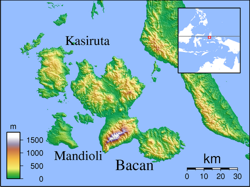 Bacan - lokátor topografie
