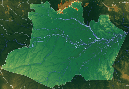 Brazílie Amazonas: mapa reliéfu