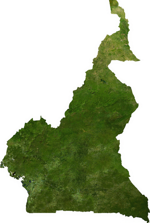 Kamerun satelit