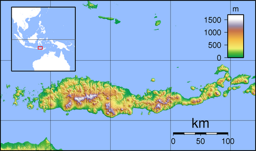 Flores - topografická mapa s lokalizací