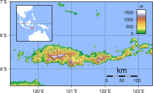 Flores - topografická mapa
