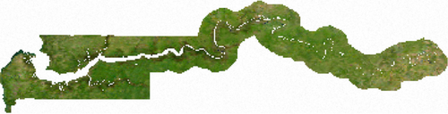 Satelitní mapa Gambie