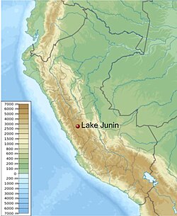 Junín