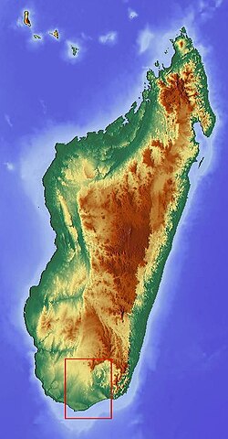Ostrov Madagaskar