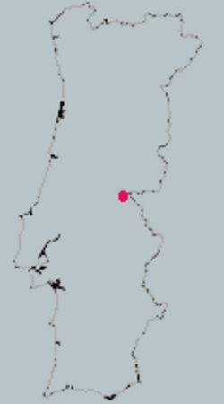 Mapa Nisy