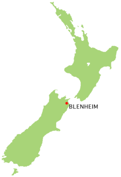 Nový Zéland - Blenheim