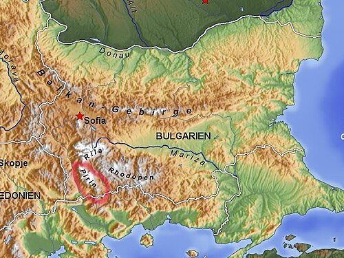Pirin Balkán topo de