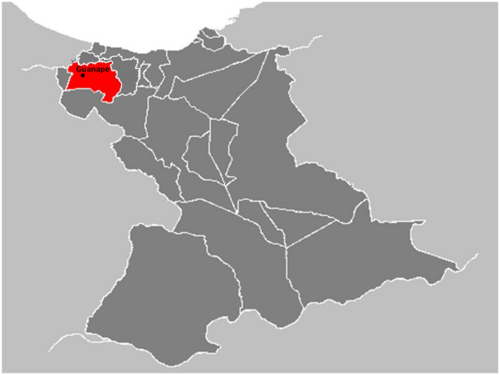 Umístění Guanape v úšt. Anzoátegui