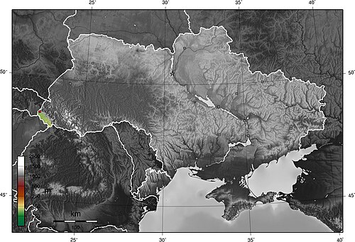 Zakarpatská nížina